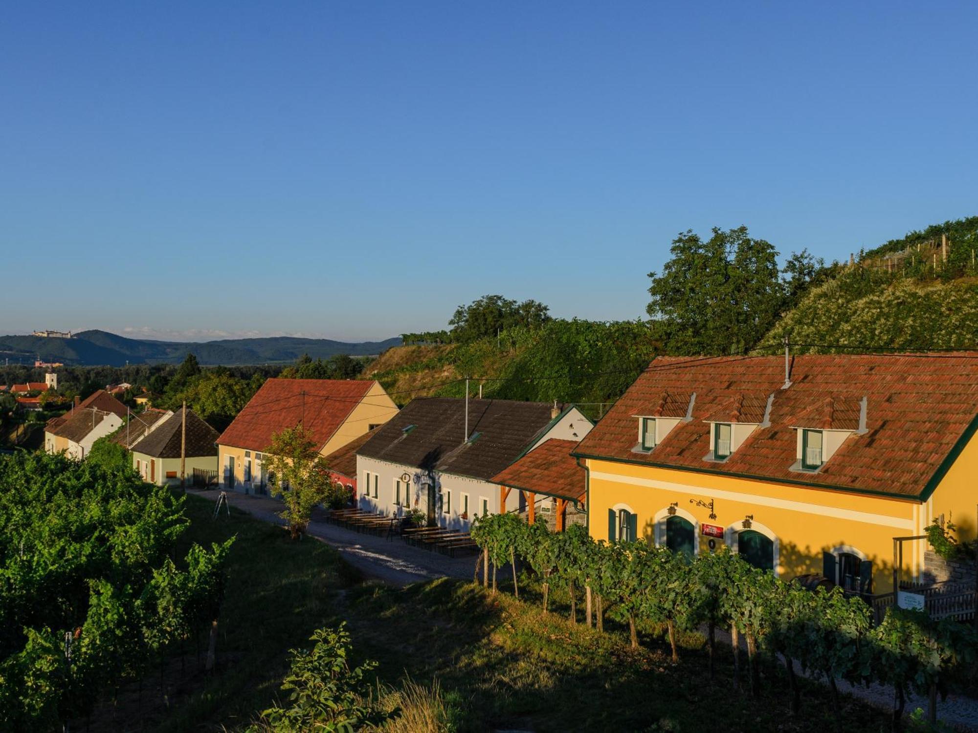 Gaestehaus Familie Trachsler 호텔 Rohrendorf bei Krems 외부 사진