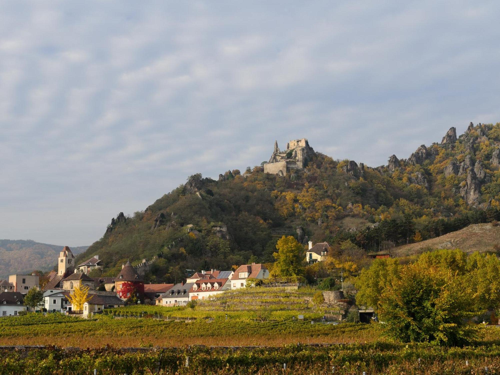 Gaestehaus Familie Trachsler 호텔 Rohrendorf bei Krems 외부 사진